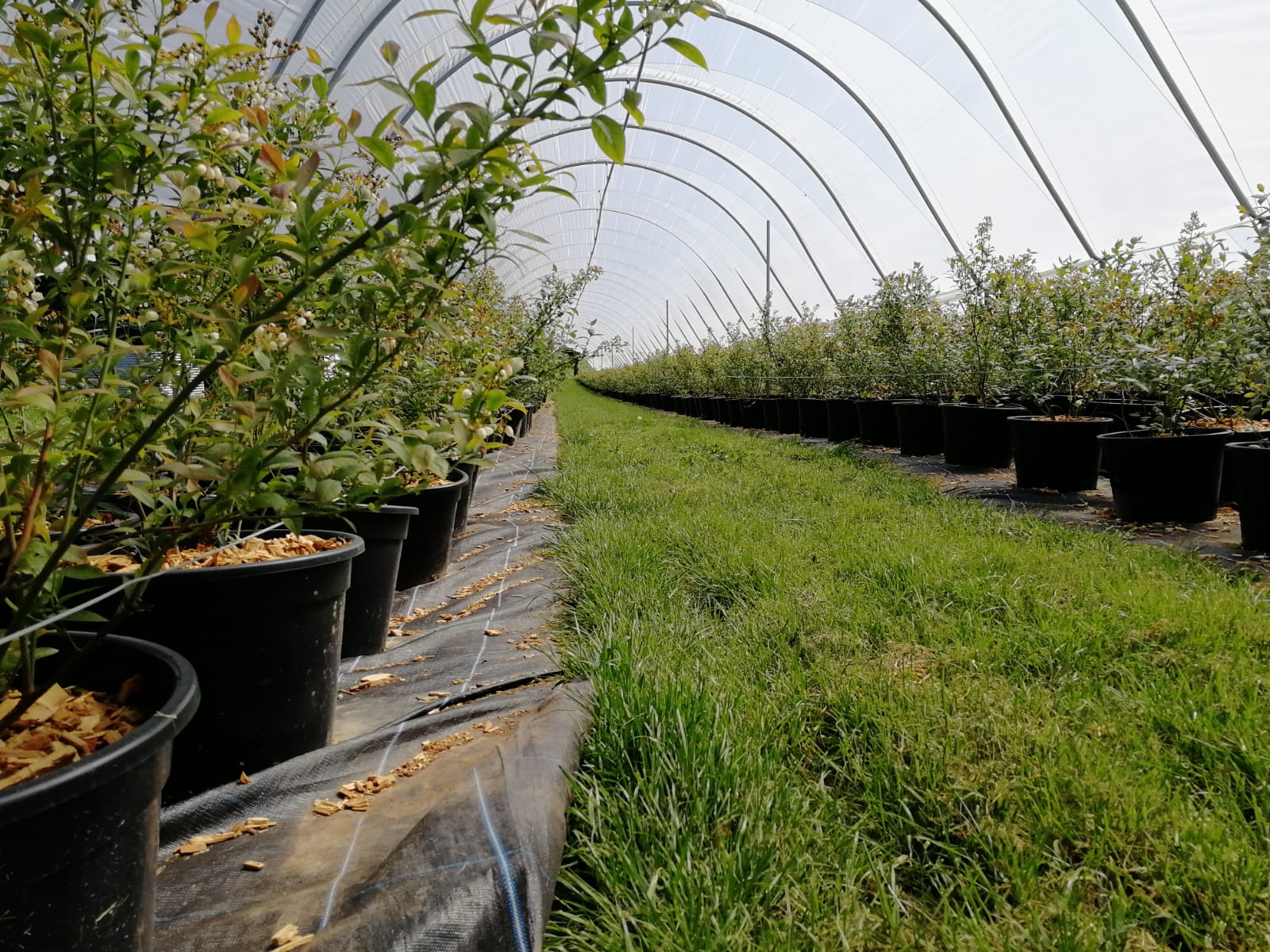 Bradley Farms Bradley Farms